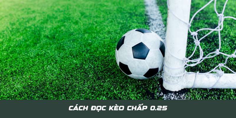 Hiểu về cách đọc cược chấp 0.5 tại kèo Châu Á là gì