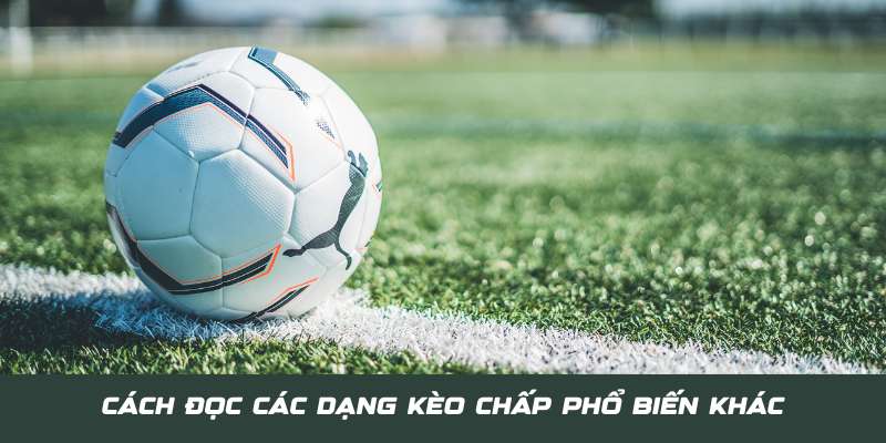 Một số cách đọc dạng cược Châu Á phổ biến khác